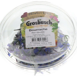 FLEUR COMESTIBLE DE BOURRACHE SALES RAVIER